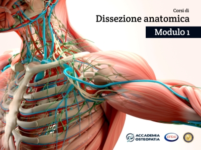 Corsi di Dissezione anatomica, Modulo 1: collo, arto superiore in toto e apparato cardio-respiratorio