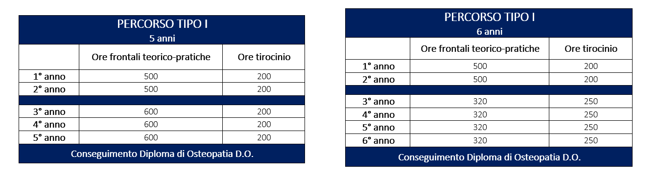 Percorso formativo