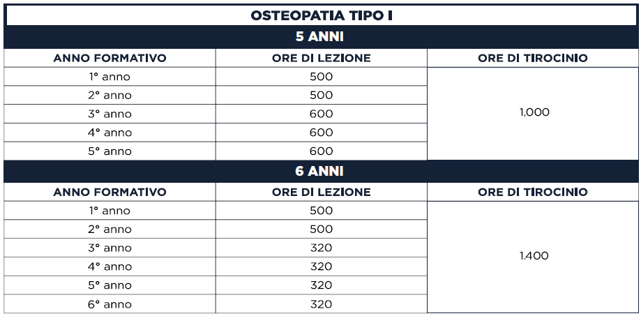 Percorso formativo